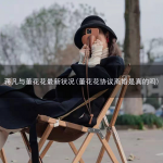 蒋凡与董花花最新状况(董花花协议离婚是真的吗)